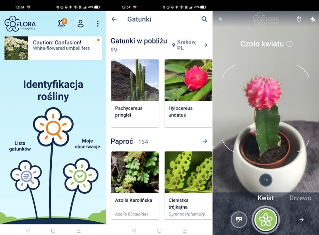 Bezpłatna aplikacja do rozpoznawania roślin Flora Incognita bez reklam