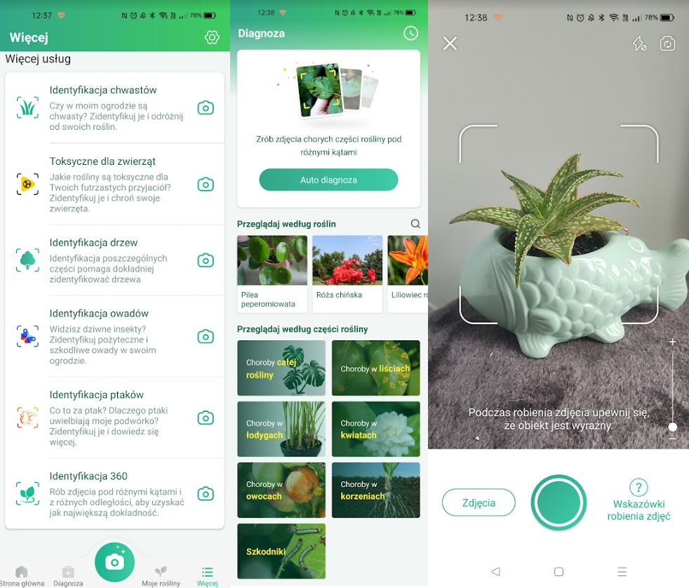 PictureThis to wygodna w obsłudze aplikacja do rozpoznawania roślin dostarczająca bardzo rozbudowane informacje