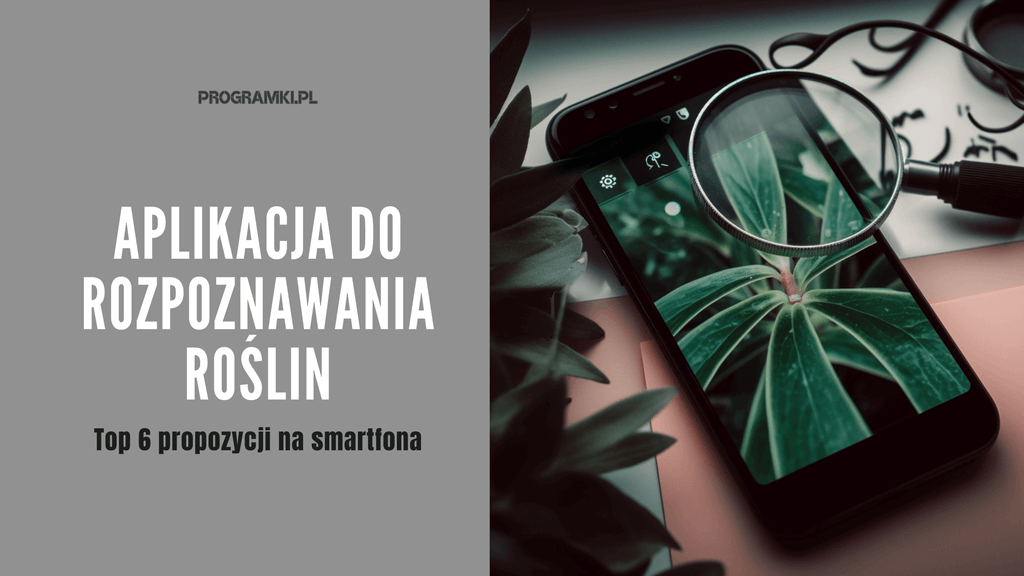 TOP 6 aplikacji do rozpoznawania roślin. Zgłębiaj tajemnice flory za pomocą smartfona