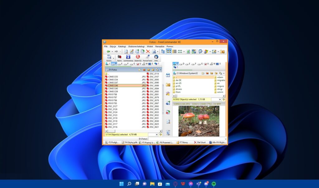 FreeCommander – przejrzysty, darmowy menedżer plików na system Windows